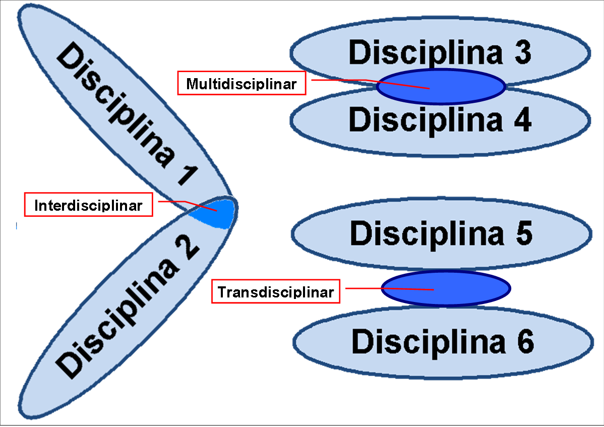 artigo 'Transdisciplinaridade'
