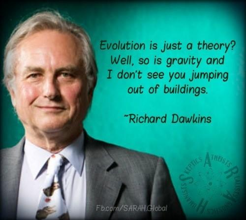 Dawkins - 'evolução é apenas uma teoria'?