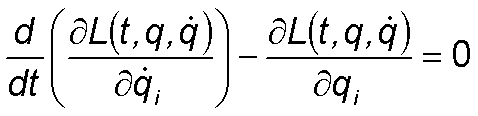 Equações de Euler-Lagrange
