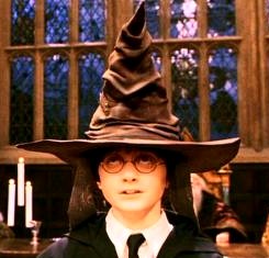 Harry Potter - chapéu seletor