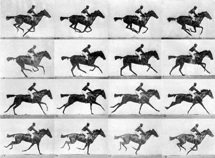 Muybridge-galope do cavalo